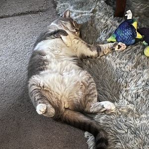 Fundraising Page: Jenn Chace